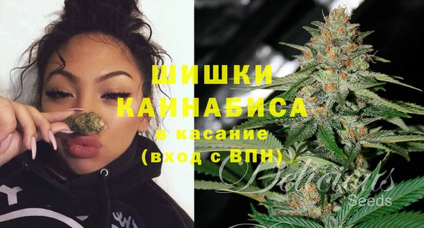 PSILOCYBIN Арсеньев