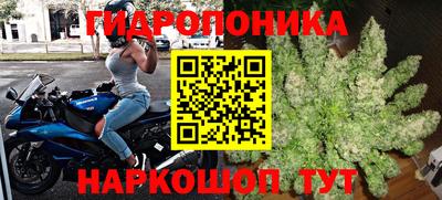 индика Анапа